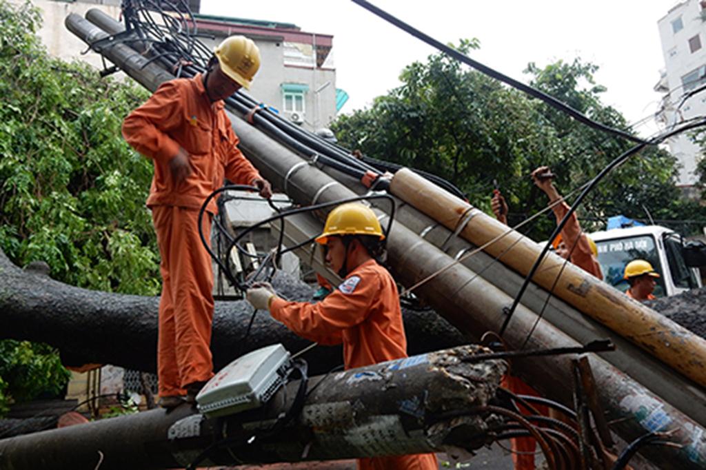 Cây đổ chưa được chặt hạ nhưng công nhân Công ty Điện lực Hai Bà Trưng đã khẩn trương tháo dỡ thu dọn để tiến hành dựng lại cột mới