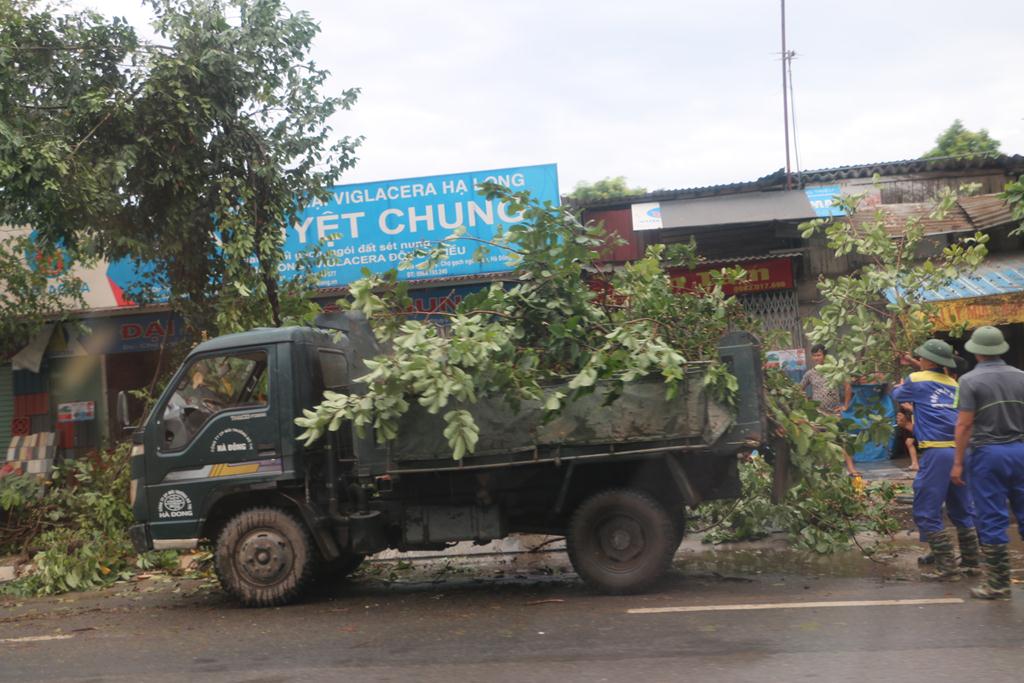 Ngay buổi chiều, Công tác thu dọn cây xanh đổ, gẫy tại các tuyến phố, con đường đã được nhanh chóng thực hiện.